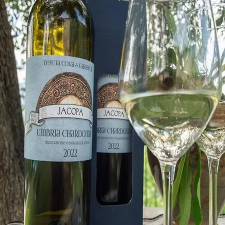 In A With Swimming Pool Assisi