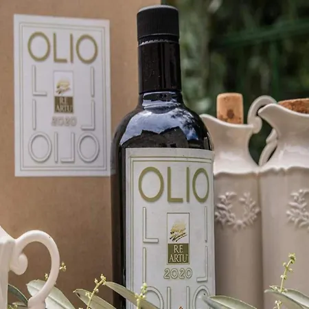 In A With Swimming Pool Appartement Assisi