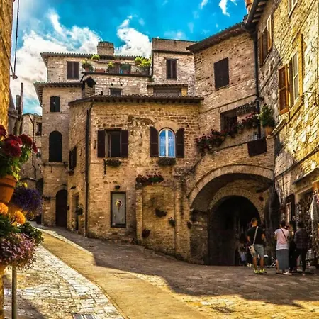 In A With Swimming Pool